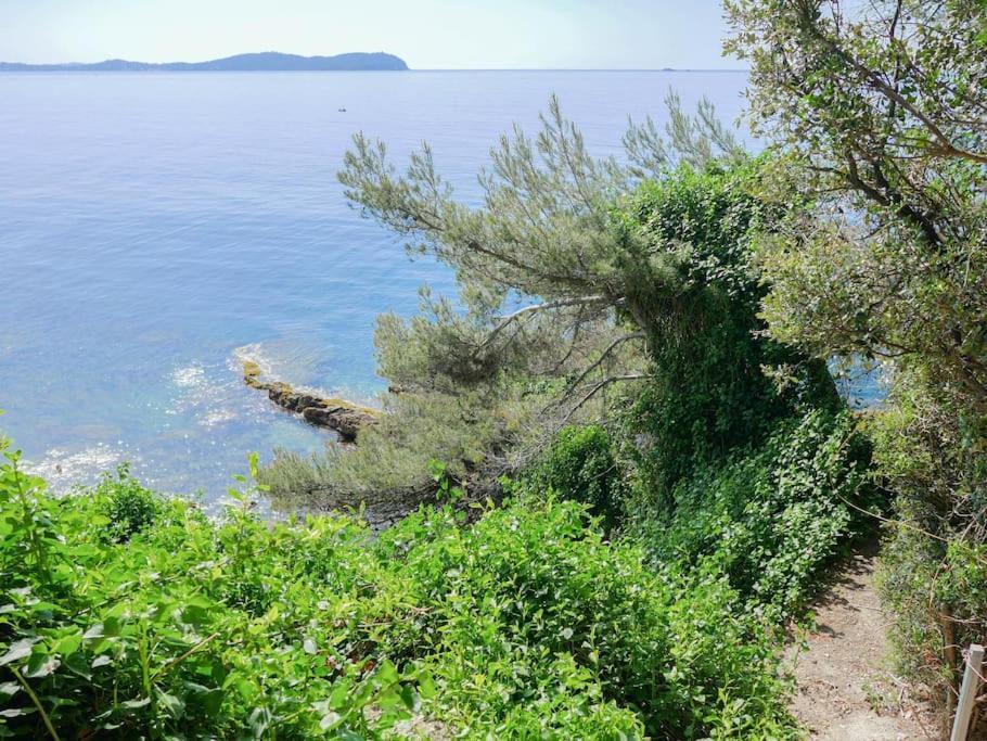 Maisonnette Avec Vue Sur La Mer Exceptionnelle 卡尔特汉 外观 照片